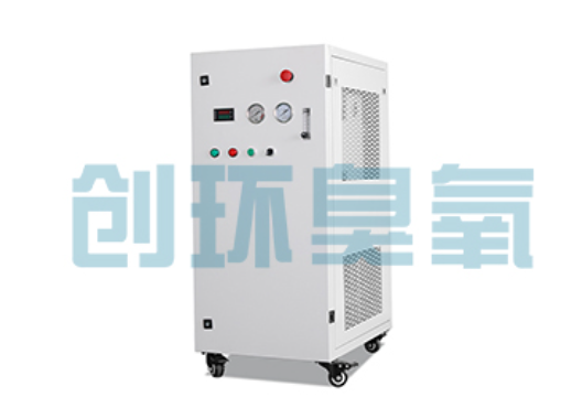 东城石斑鱼养殖水质调控完整指南:臭氧发生器配置与操作步骤