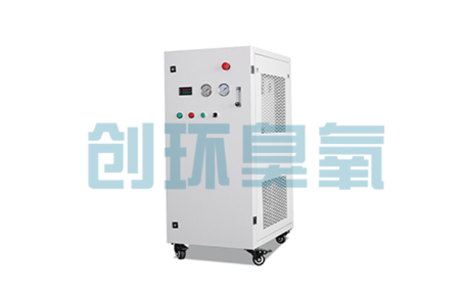 东城比传统换水更高效?臭氧发生器在石斑鱼养殖中的水质净化原理解析